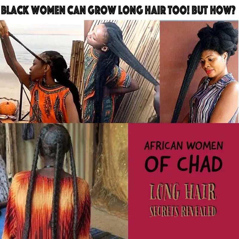 Chebe Hair Growth Shampoo - Ancient African Formula for Rapid Growth & Strength